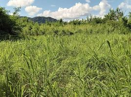  Land for sale in Phuket Town, Phuket, Rawai, Phuket Town