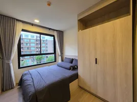 Studio Wohnung zu vermieten im Dcondo Reef Phuket, Kathu, Kathu, Phuket