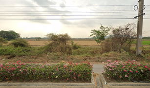 N/A Land for sale in Khung Samphao, Chai Nat 