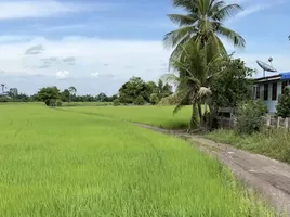  Grundstück zu verkaufen in Sena, Phra Nakhon Si Ayutthaya, Don Thong