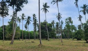 N/A Land for sale in Na Mueang, Koh Samui 