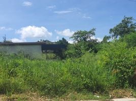  Land for sale in Rawai, Phuket Town, Rawai