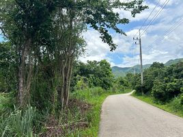  Land for sale in Chiang Mai, Thung Pi, Mae Wang, Chiang Mai