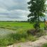  Land for sale in Bang Len, Nakhon Pathom, Bang Pla, Bang Len