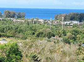  Land for sale in Choeng Thale, Thalang, Choeng Thale