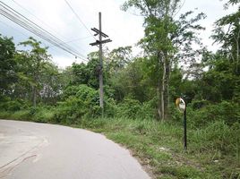  Grundstück zu verkaufen in Mueang Krabi, Krabi, Sai Thai