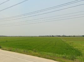  Land for sale in Uthai Phra Nakhon Si Ayutthaya, Thanu, Uthai