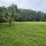  Land for sale in Thalang, Phuket, Thep Krasattri