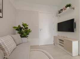 1 Schlafzimmer Wohnung zu verkaufen im Aspire Rattanathibet 2, Bang Kraso