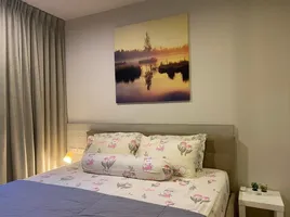 1 Bedroom Condo for rent at The Base Height, Talat Yai