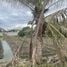  Grundstück zu verkaufen in Sam Phran, Nakhon Pathom, Khlong Mai