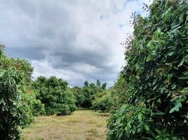  Land for sale in San Sai, Chiang Mai, Mae Faek, San Sai