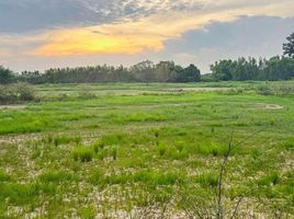  Grundstück zu verkaufen in Khueang Nai, Ubon Ratchathani, Chi Thuan, Khueang Nai