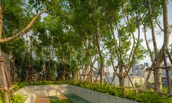 Фото 3 of the Outdoor Kids Zone at FYNN Sukhumvit 31