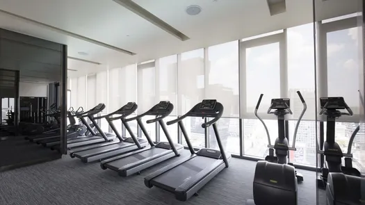 3D Walkthrough of the Communal Gym at The Line Asoke - Ratchada