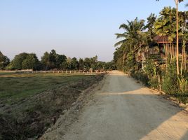  Land for sale in San Kamphaeng, San Kamphaeng, San Kamphaeng