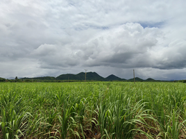  Grundstück zu verkaufen in Sai Yok, Kanchanaburi, Si Mongkhon