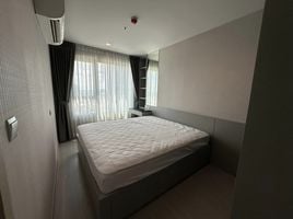 1 Bedroom Condo for rent at Life Ladprao, Chomphon