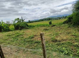  Grundstück zu verkaufen in Mae Lao, Chiang Rai, Bua Sali