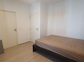 2 Schlafzimmer Haus zu vermieten im Indy Bangna Ramkhaemhaeng 2, Dokmai