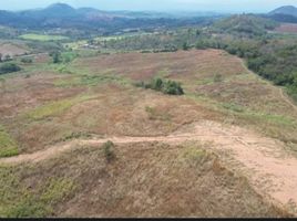  Land for sale in Thailand, Wang Katha, Pak Chong, Nakhon Ratchasima, Thailand