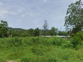  Land for sale in Nopparat Thara Beach, Ao Nang, Ao Nang