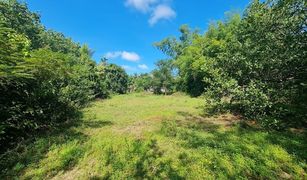 N/A Land for sale in Nong Khon, Ubon Ratchathani 