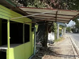 2 Schlafzimmer Warenhaus zu vermieten in Nakhon Pathom, Song Khanong, Sam Phran, Nakhon Pathom
