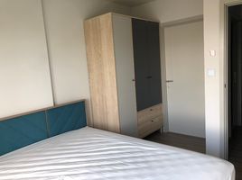 1 Schlafzimmer Wohnung zu vermieten im The BASE Sukhumvit 50, Phra Khanong