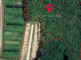  Land for sale in Tha Sala, Nakhon Si Thammarat, Thai Buri, Tha Sala