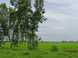  Grundstück zu verkaufen in Ban Mi, Lop Buri, Nong Mueang