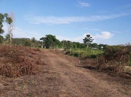  Land for sale in Agua Boa, Mato Grosso, Agua Boa