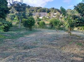  Land for sale in Rawai, Phuket Town, Rawai