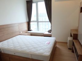 1 Schlafzimmer Wohnung zu verkaufen im Rhythm Sukhumvit 50, Phra Khanong