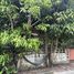 2 Bedroom Villa for sale in Si Sunthon, Phuket, Si Sunthon, Thalang