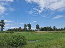  Land for sale in Bang Chan, Mueang Phetchaburi, Bang Chan