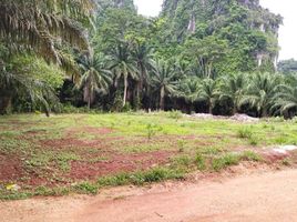  Land for sale in Ao Nang, Mueang Krabi, Ao Nang