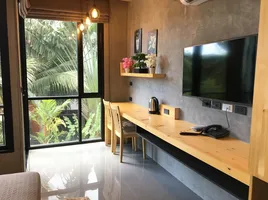Studio Condo for rent at ReLife The Windy, Rawai, Phuket Town, Phuket