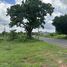  Land for sale in Ubon Ratchathani, Sai Mun, Phibun Mangsahan, Ubon Ratchathani