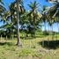  Land for sale in Koh Samui Surat Thani, Na Mueang