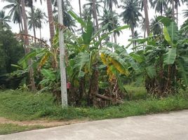  Grundstück zu verkaufen in Koh Samui, Surat Thani, Bo Phut