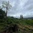  Land for sale in Tarrazu San Jose, Tarrazu