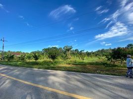  Grundstück zu verkaufen in Pa Phayom, Phatthalung, Lan Khoi, Pa Phayom