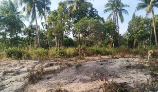 N/A Grundstück zu verkaufen in Ko Pha-Ngan, Koh Samui 