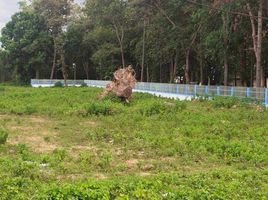  Land for sale in Nong Teng, Krasang, Nong Teng