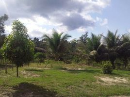 2 Schlafzimmer Haus zu verkaufen in Presidente Figueiredo, Amazonas, Presidente Figueiredo, Presidente Figueiredo