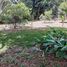  Land for sale in Mora San Jose, Mora, San Jose