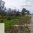  Land for sale in Surat Thani International Airport, Hua Toei, Khlong Sai