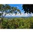  Land for sale in Golfito, Puntarenas, Golfito