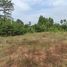  Land for sale in Ratchaburi, Huai Yang Thon, Pak Tho, Ratchaburi